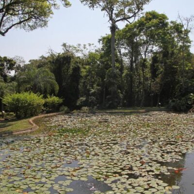 Iguazu Grand Resort Spa & Casino Hotel (22)