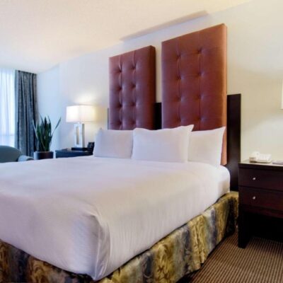 hotel-toronto-hilton-markham (36)